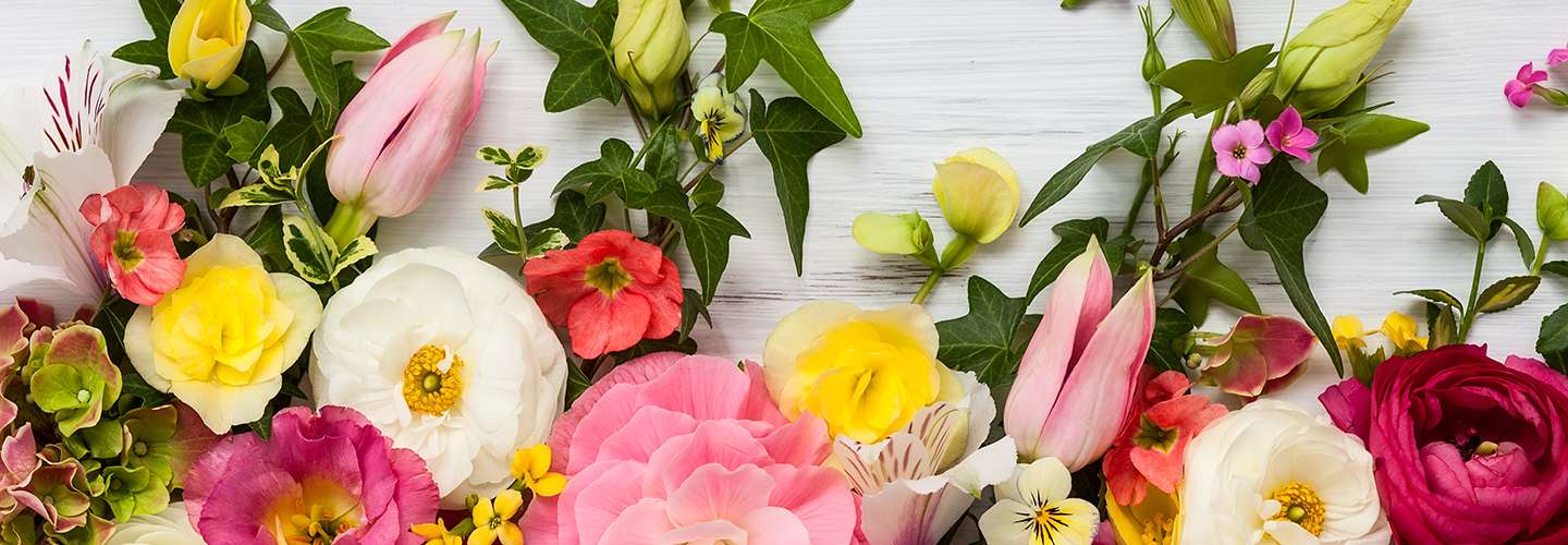Voyages Rubio - Voyages de groupe - La Fête des fleurs à Gérone