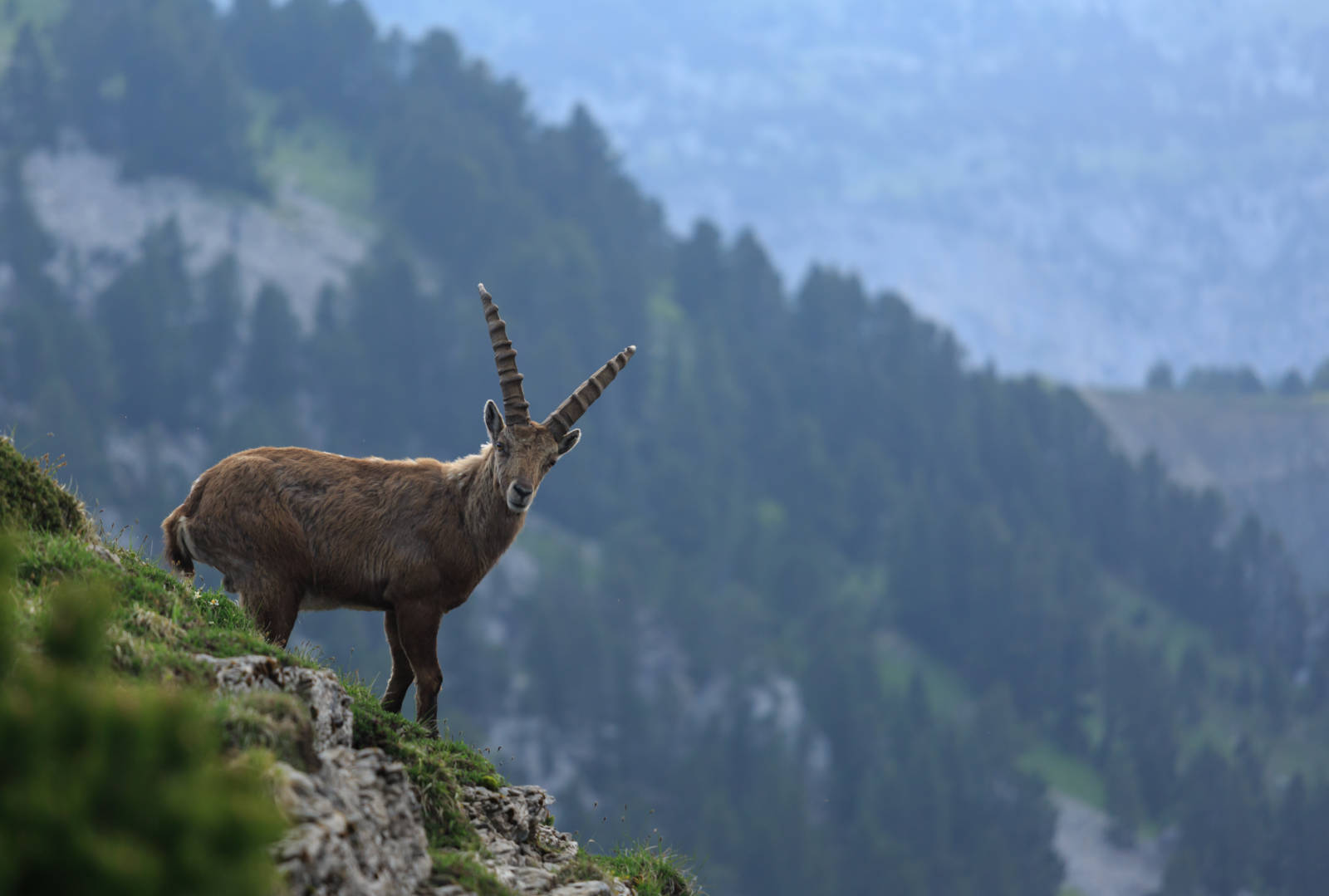 Voyages Rubio - Voyages de groupe - ESCAPADE DANS LE VERCORS 2021
