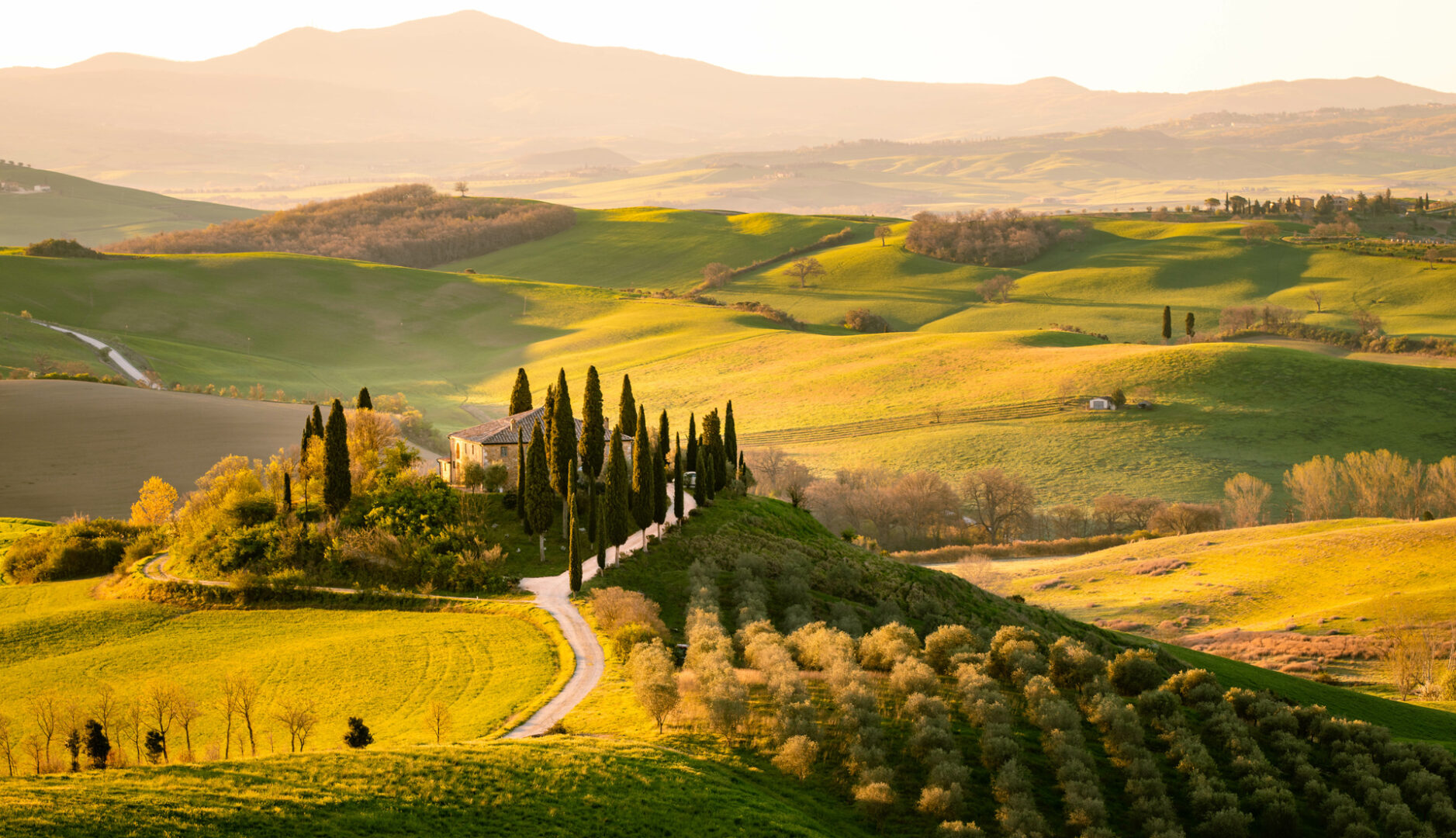 Toscane Toscane