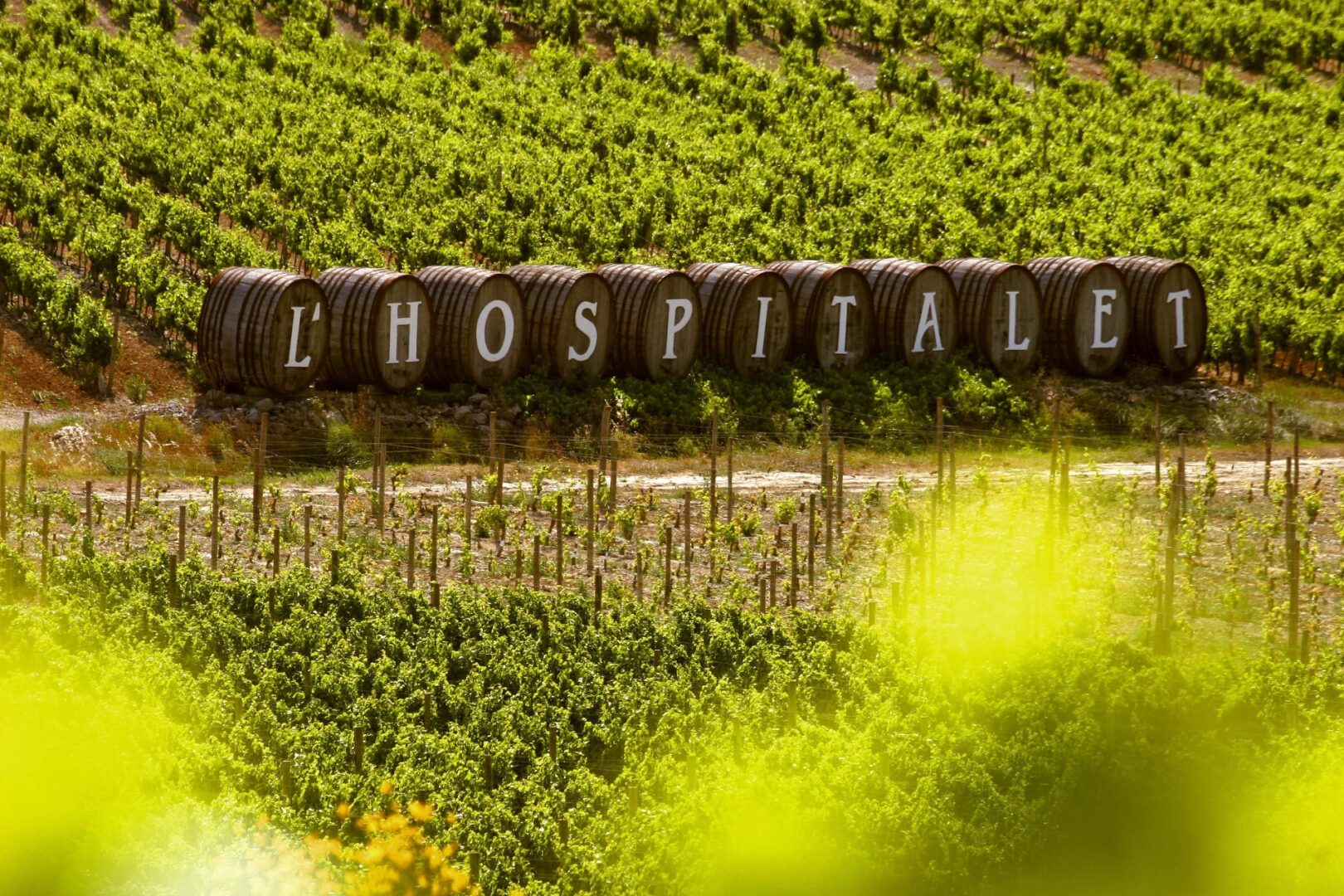 Soirée MSC x Ôvoyages au Château l’Hospitalet